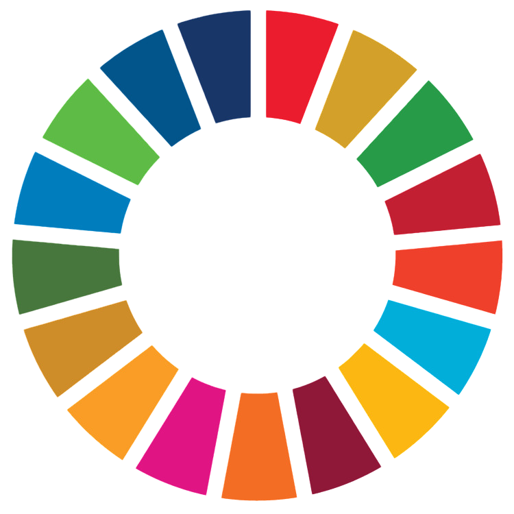 sdg wheel transparent
