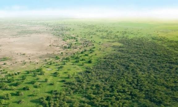 whatsapp image 2026 03 06 at 3.48.07 pm