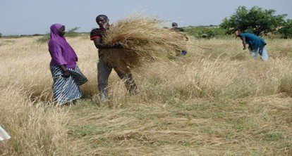 whatsapp image 2026 03 06 at 3.48.07 pm(1)